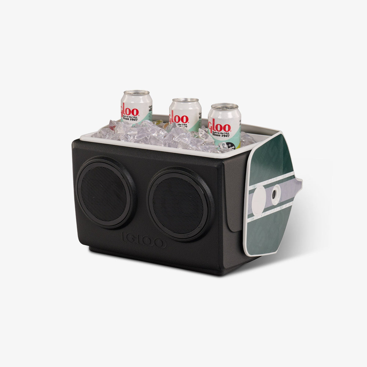 michigan-state-university-kooltunes-v6 00027730-P1.jpg