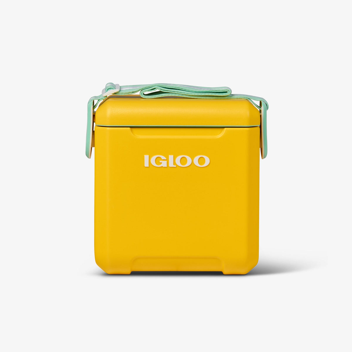 tag-along-too-cooler-e2 00032819_1.jpg