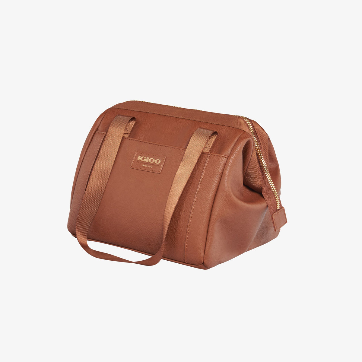 igloo-luxe-lunch-tote-cooler-bag-c9 00061160_2.jpg