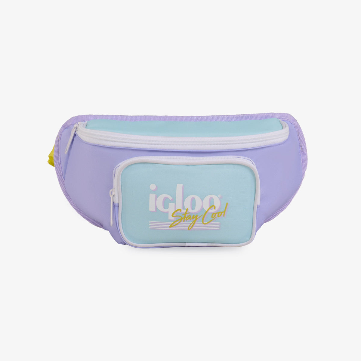 retro-fanny-pack-e9 00063078-F.jpg