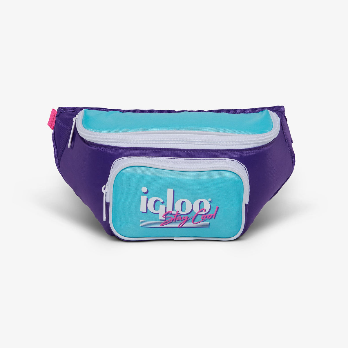 retro-fanny-pack-e9 00066056-F.jpg