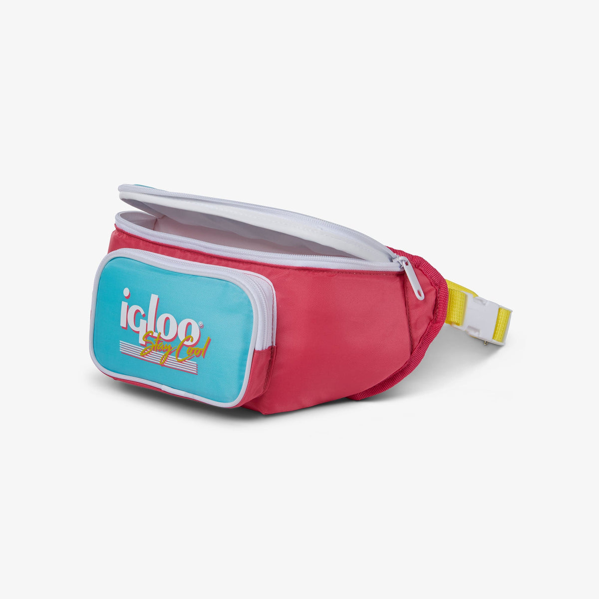 retro-fanny-pack-e9 00066058-O1.jpg