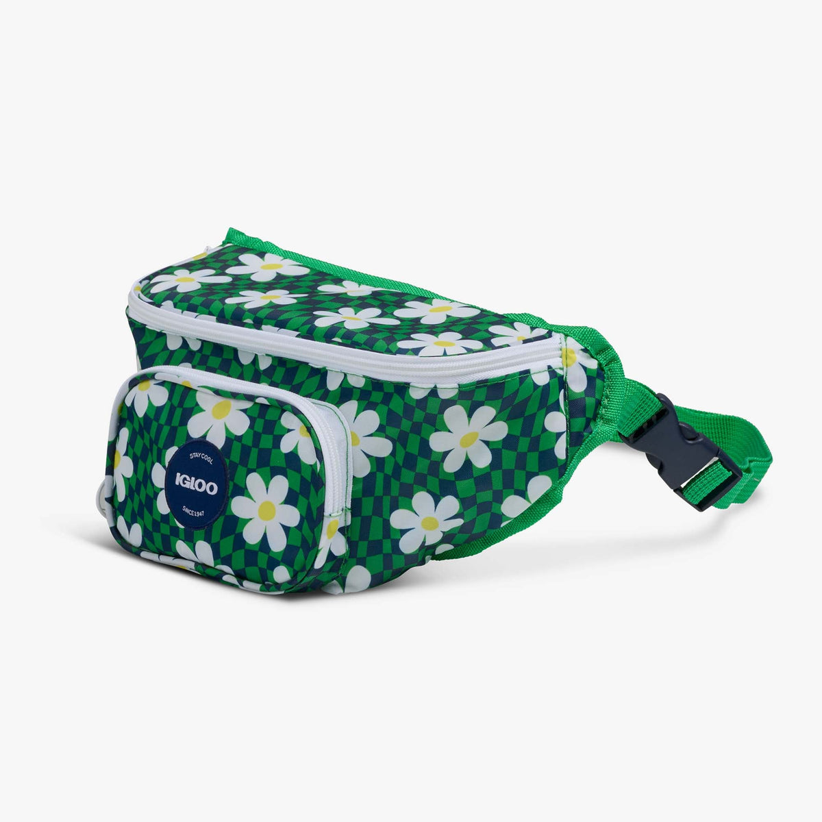 retro-fanny-pack-e9 00067206-H1.jpg