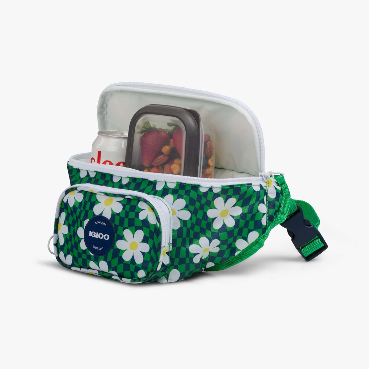 retro-fanny-pack-e9 00067206-P1.jpg